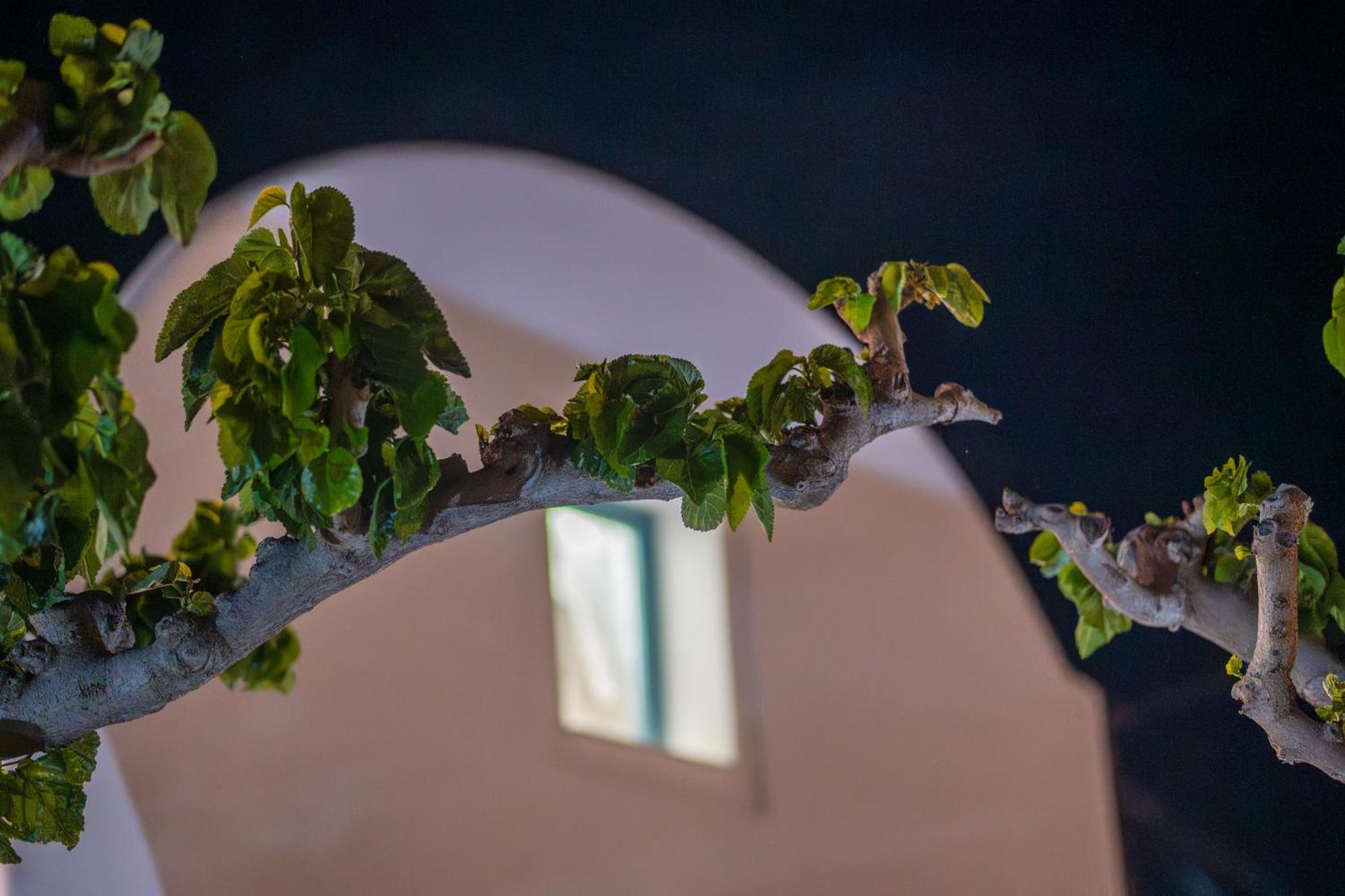 Adagio * Kamari (Santorini)